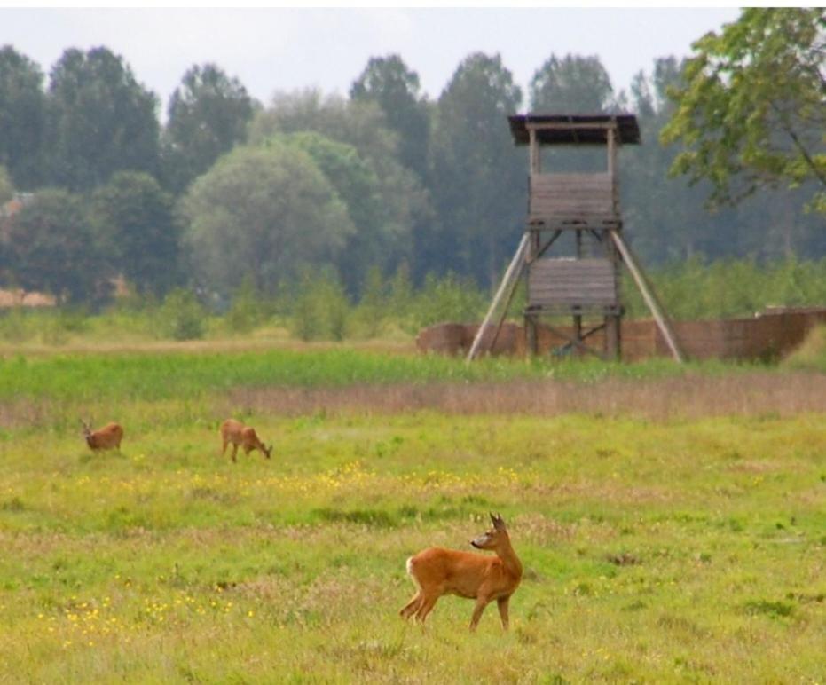 Am Treis Villa Wieringerwerf Luaran gambar